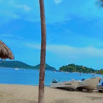 Playa con palmera y bahía